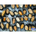 seafood frozen mussel meat in shell IQF